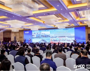 可再生能源電解水制氫系統集成技術研究與應用項目通過技術鑒定